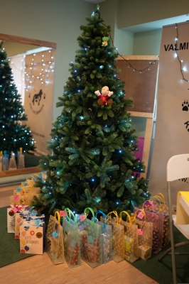 Valmieras Kennelkluba Jaungada eglīte 30.12.2023.